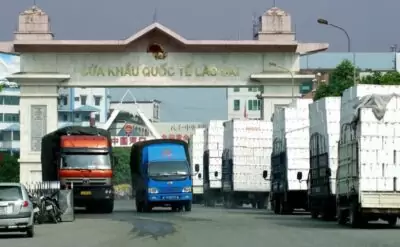 Trong 3 quý đầu năm, kim ngạch xuất khẩu nông, lâm, thủy sản sang Trung Quốc (China) đạt hơn 8,7 tỷ USD. Trong đó, riêng nông sản chiếm 70%, lập kỷ lục cao nhất từ trước đến nay.