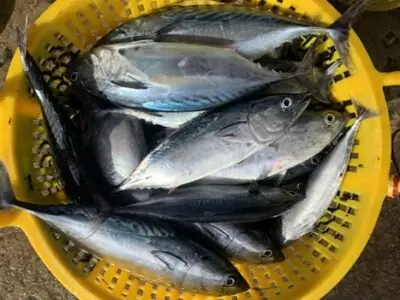 海鲜 (Hải sản - seafood)
